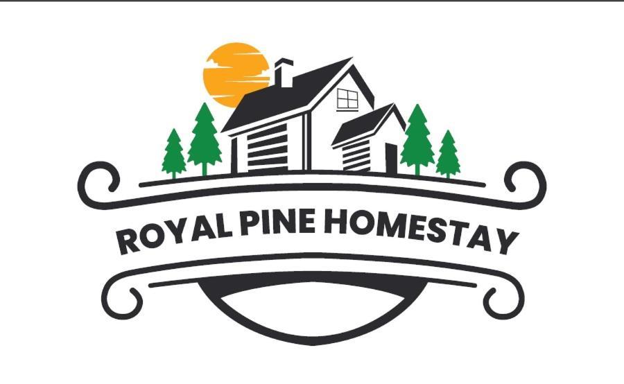 Royal Pine