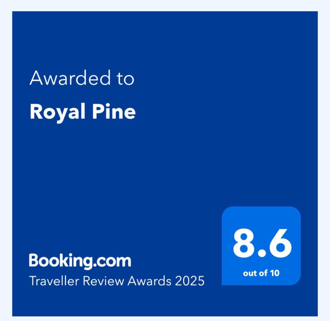 Royal Pine